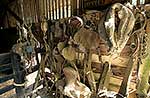 Inside an old farm shed