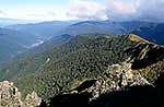 View from Mt Holdsworth