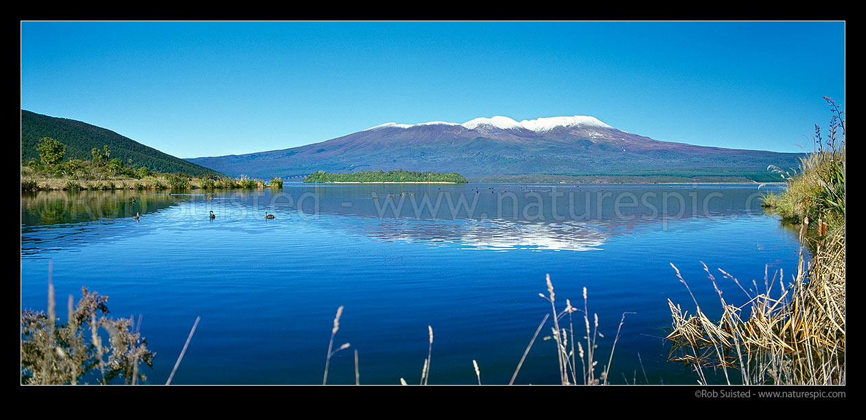 Image of Mt Tongariro (1916m) from Lake Rotoaira, Tongariro National Park, Taupo District, Waikato Region, New Zealand (NZ) stock photo image