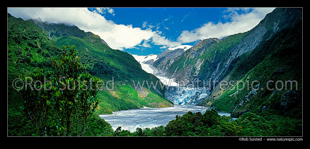 Image of Franz Josef Glacier from Sentinel Rock, in the Waiho River valley, Westland National Park, Westland District, West Coast Region, New Zealand (NZ) stock photo image