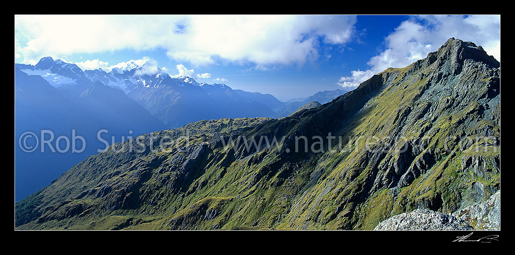 Image of View N from Conical Hill (Routeburn) down the Hollyford Valley to Martins Bay. Mount (Mt)s Tutuko and Madeline (l), Fiordland National Park, Southland District, Southland Region, New Zealand (NZ) stock photo image