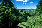 Whanganui National Park