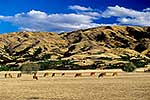 Marlborough farmland