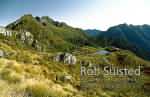 Fiordland wilderness