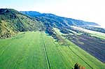 Rarangi farmland, Blenheim