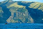 Yacht sailing into Akaroa Harbour