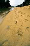 footprints