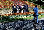 Wellington Botanical gardens