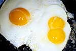 Double yoker egg