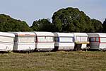 Unloved caravans