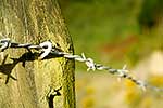 Farm fence