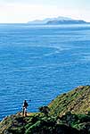 Makara coastal walk, Wellington