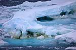 Pack ice algae, Antarctica