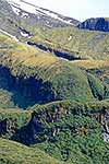 Mount Taranaki landscape