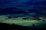 Sunlit farmland