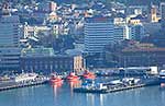 Wellington waterfront