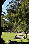 Picnickers, Botanical Gardens