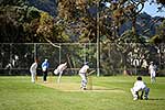 Cricket match, Wellington