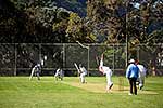 Cricket match, Wellington