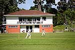 A game of cricket, Wellington