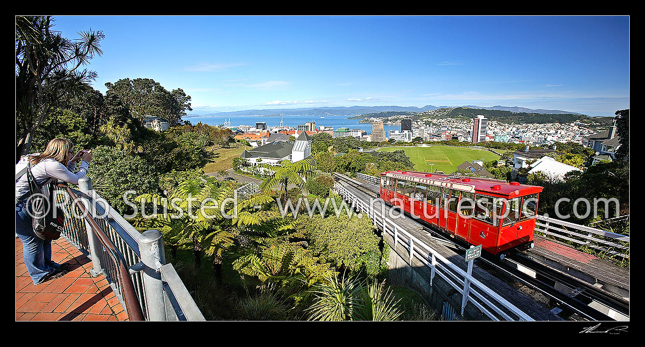 Image of Panorama from top of the Wellington Cable car over the city and harbour from Botanical gardens at Kelburn, Wellington, Wellington City District, Wellington Region, New Zealand (NZ) stock photo image