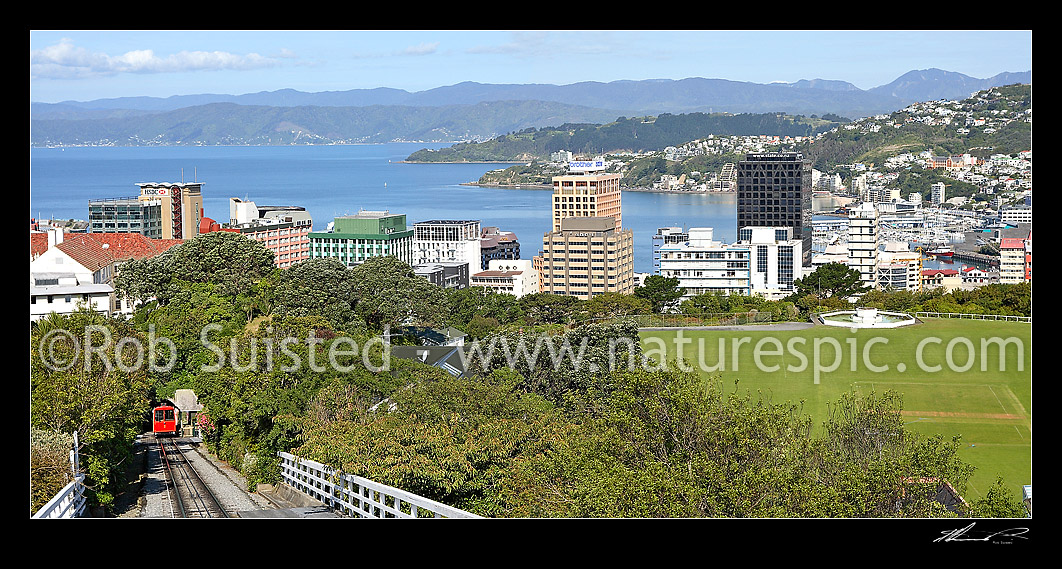 Image of Panorama from top of the Wellington Cable car over the city and harbour from Botanical gardens. Kelburn Park at right, Wellington, Wellington City District, Wellington Region, New Zealand (NZ) stock photo image