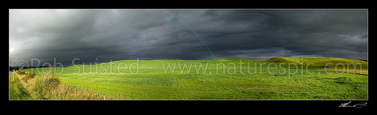 Image of Dark moody stormy skies brewing above lush summer grass farmland in Central Hawke's Bay, Dannevirke, Tararua District, Manawatu-Wanganui Region, New Zealand (NZ) stock photo image