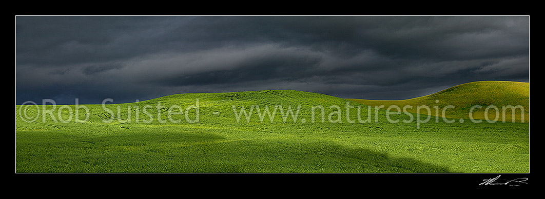 Image of Dark moody stormy skies brewing with rainbow above lush summer grass farmland in Central Hawke's Bay, Dannevirke, Tararua District, Manawatu-Wanganui Region, New Zealand (NZ) stock photo image