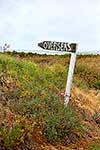 'Overseas' signpost near beach