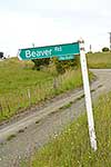 Beaver Road signpost, Kaipara