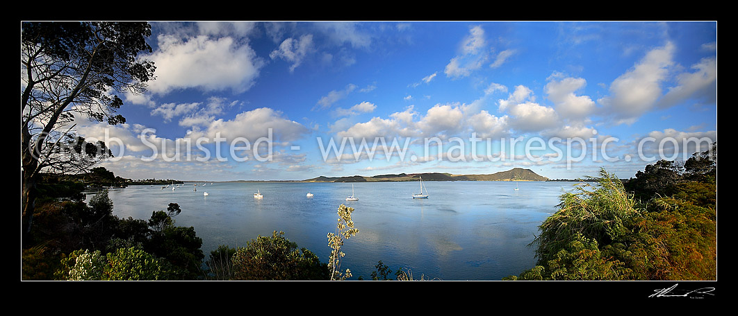 Image of Evening panoramic view across yachts moored in Houhora Harbour. Mount Camel right, Houhora, Far North District, Northland Region, New Zealand (NZ) stock photo image