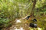 Tramper on Track, Remutaka area