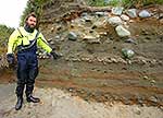 Macquarie Island penguin bones