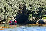 Tourists on boat, The Snares Is