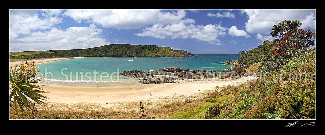 Image of Summer at Maitai (Matai) Bay beach with flowering Pohutukawa tree. Panoramic view of sandy beach and bay, Karekare Peninsula, Far North District, Northland Region, New Zealand (NZ) stock photo image