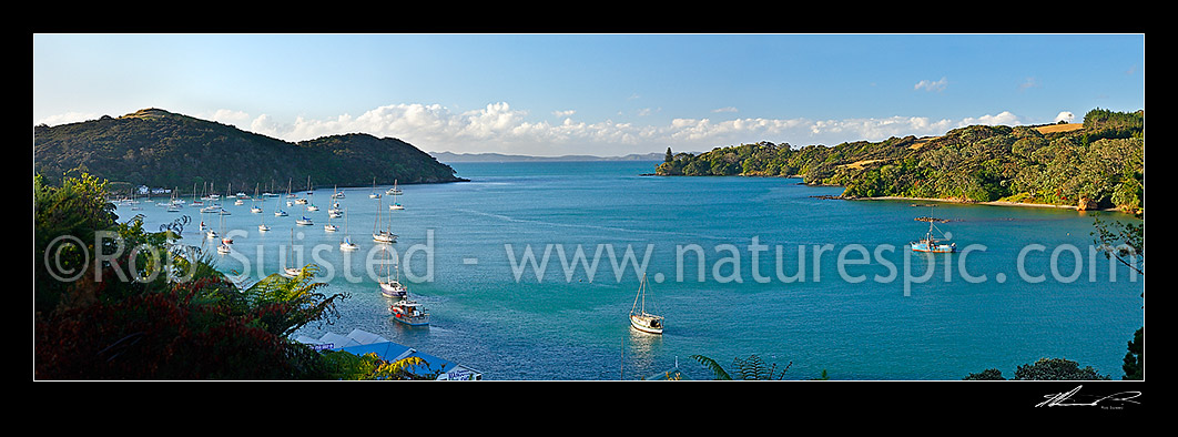 Image of Panoramic view over Mangonui township and harbour entrance, with fishing vessels, boats and yachts moored under the Rangikapiti Pa and headland, Mangonui, Far North District, Northland Region, New Zealand (NZ) stock photo image