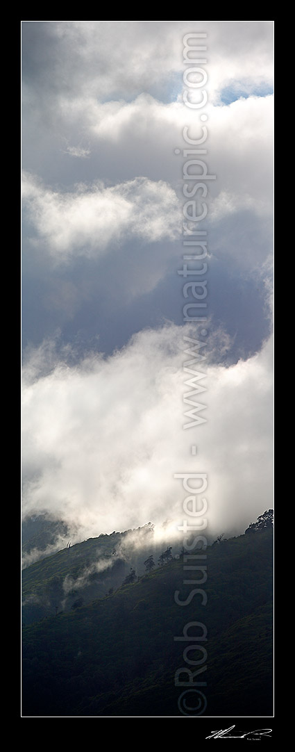 Image of Moody misty rain clouds lifting off rainforest bush covered ridges after rain. Tararua range foothills, Waikanae, Kapiti Coast District, Wellington Region, New Zealand (NZ) stock photo image