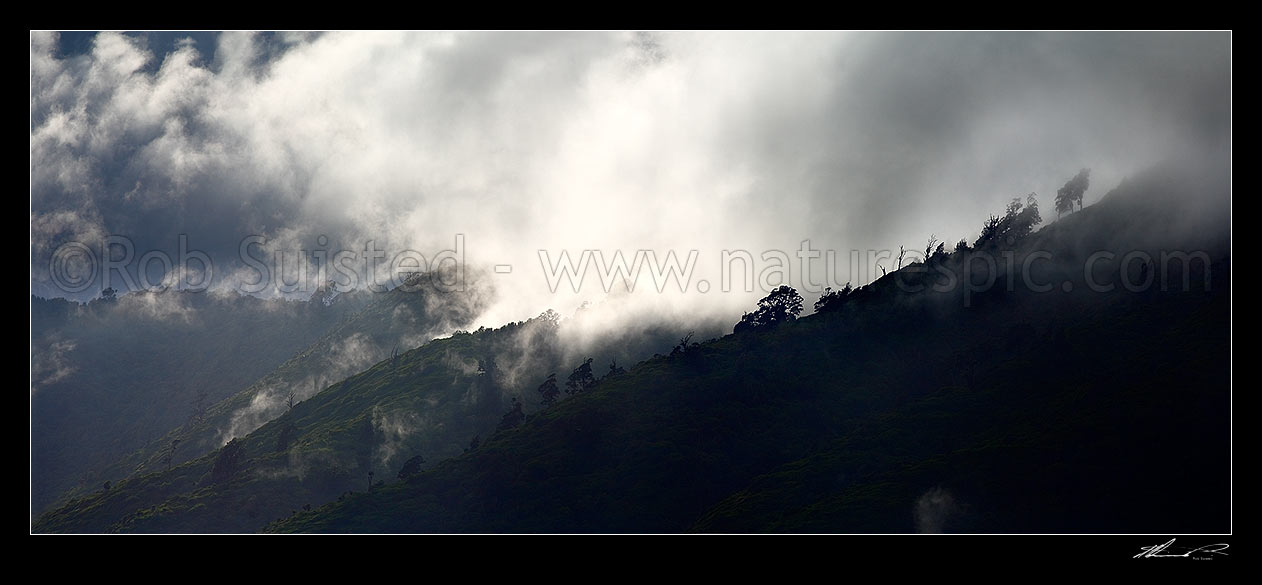 Image of Moody misty rain clouds lifting off rainforest bush covered ridges after rain. Tararua range foothills, Waikanae, Kapiti Coast District, Wellington Region, New Zealand (NZ) stock photo image