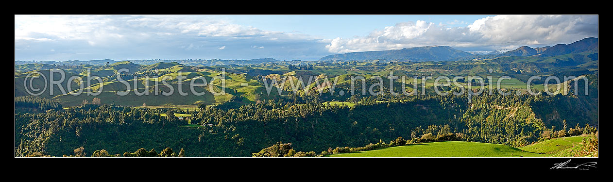 Image of Rural panorama across lush spring farmland hillcountry and bush forest on the foothills of the Rauhine Range. 
Pohangina Valley, Apiti, Manawatu District, Manawatu-Wanganui Region, New Zealand (NZ) stock photo image