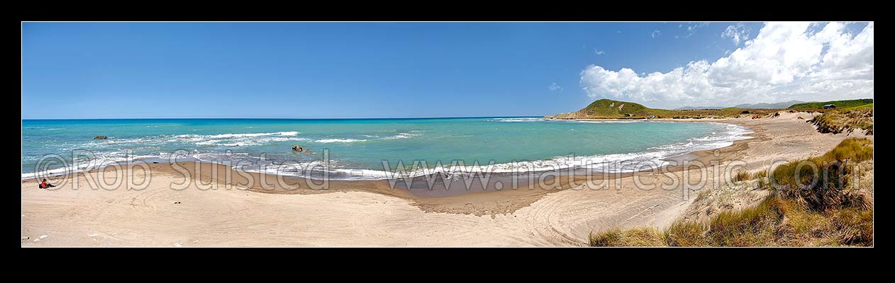 Image of Panorama looking towards Uruiti Point and beach from sand dunes. Person sitting on beach, Riversdale, Masterton District, Wellington Region, New Zealand (NZ) stock photo image