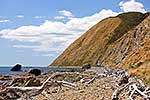 Makara Coastline