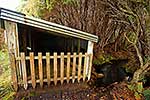 Subantarctic shipwreck relic