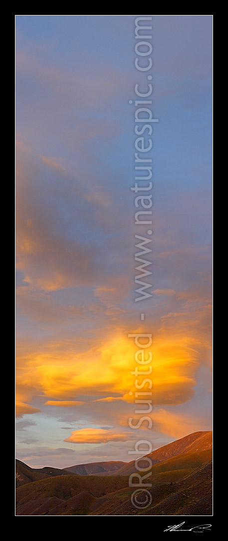 Image of Lenticular clouds gathering in evening sunset over Lindis Pass and the Dunstan Range, signalling coming bad weather and winds. Vertical panorama, Lindis Pass, MacKenzie District, Canterbury Region, New Zealand (NZ) stock photo image