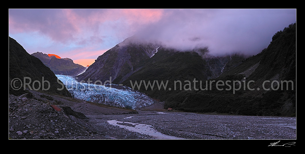 Image of Panorama of the Fox Glacier terminal face & Fox River Valley. 14km long, 245masl. Westland National Park. Dusk, Fox Glacier, Westland District, West Coast Region, New Zealand (NZ) stock photo image