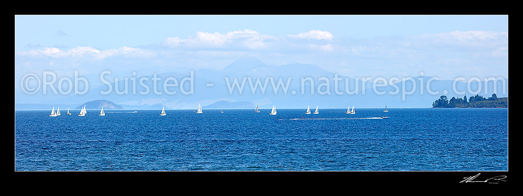 Image of Lake Taupo with yachting sailing regatta and powerboating, with volcanic Central Plateau mountains beyond, Mts Ruapehu, Ngauruhoe and Tongariro, Taupo, Taupo District, Waikato Region, New Zealand (NZ) stock photo image