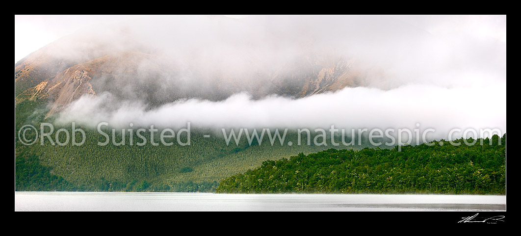 Image of Moody early morning mist and cloud over water of Lake Rotoiti, Nelson Lakes National Park. Mt Robert behind. Beech forest cloaked hills. Panorama, St Arnaud, Tasman District, Tasman Region, New Zealand (NZ) stock photo image