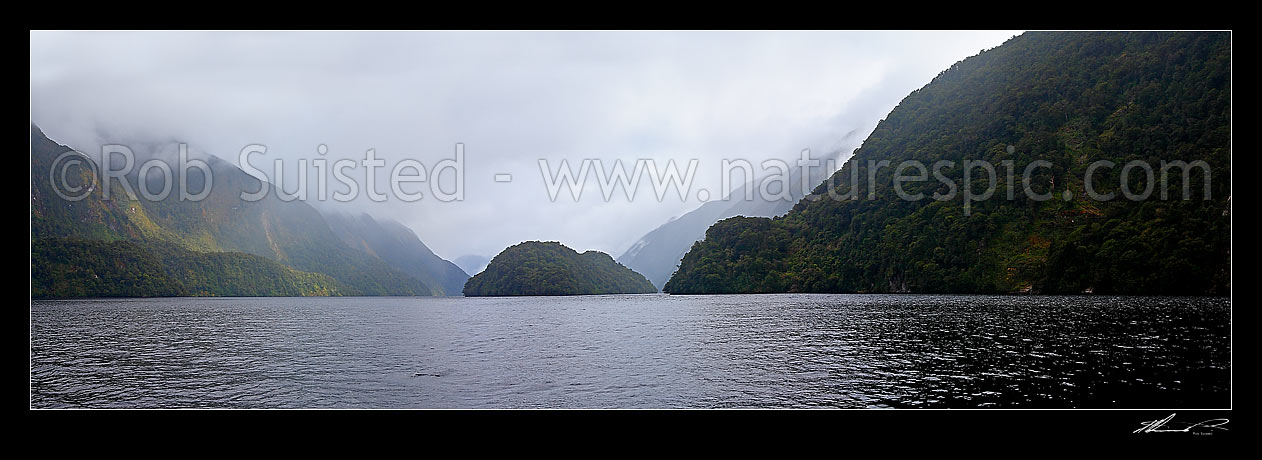 Image of Doubtul Sound and Elizabeth Island. Fiordland National Park panorama, Doubtful Sound, Fiordland, Southland District, Southland Region, New Zealand (NZ) stock photo image