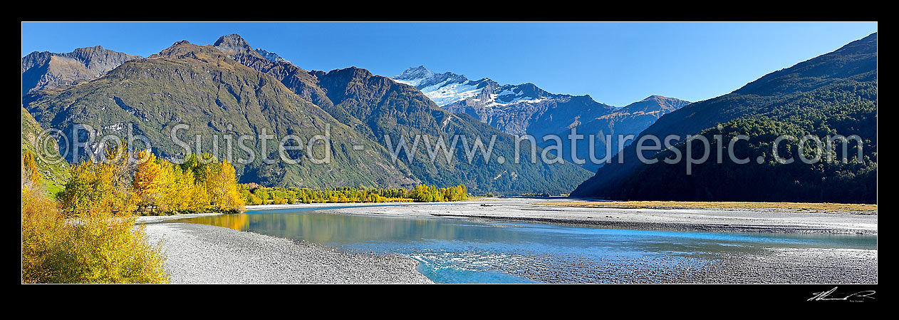 Image of Looking up Matukituki River East Branch, flowing under Mt Avalanche (2606m), and past Cameron Flat, with autumn coloured trees. Panorama, Mount Aspiring National Park, Queenstown Lakes District, Otago Region, New Zealand (NZ) stock photo image