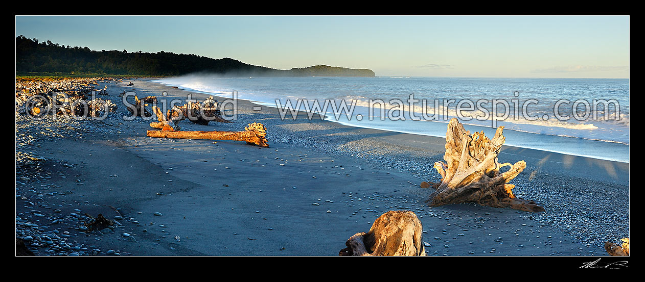 Image of Gillespies Beach on the South Westland coast. Panorama of driftwood, pingao grass, rainforest and waves in morning light, Gillespies Beach, Westland District, West Coast Region, New Zealand (NZ) stock photo image