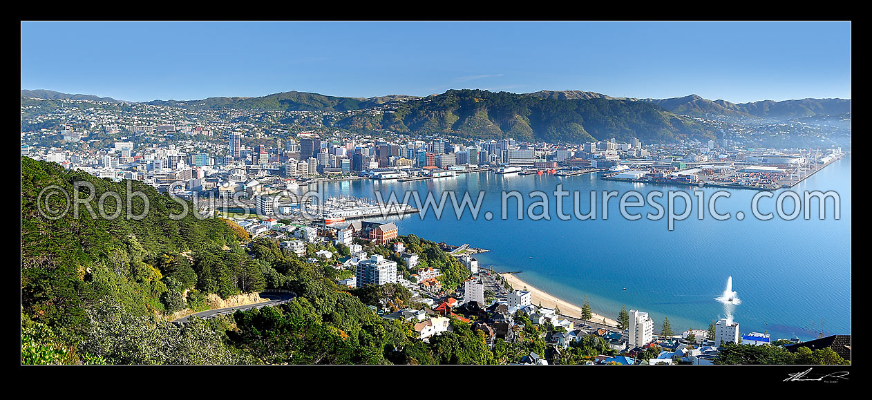 Image of Wellington City and Harbour from Mount Victoria with fountain playing at Oriental Bay, on a still autumn morning. Panorama, Wellington, Wellington City District, Wellington Region, New Zealand (NZ) stock photo image